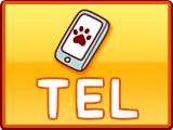 TEL